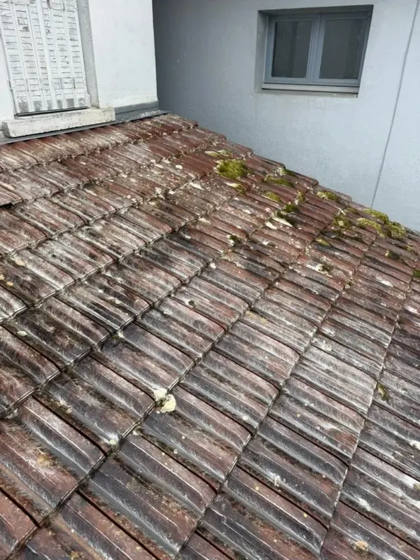 Toiture en tuiles avant nettoyage